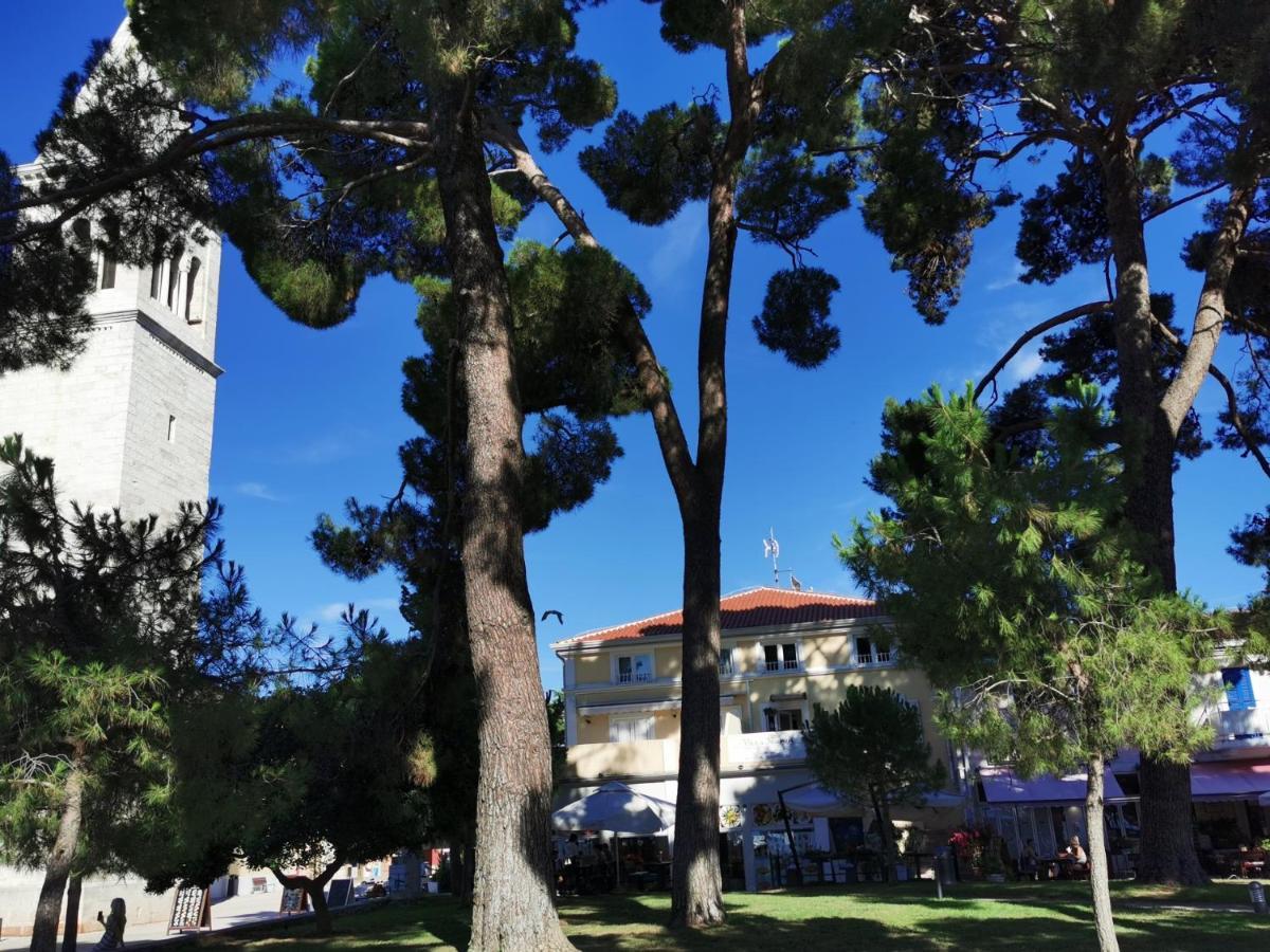 Emily Deluxe Superior 5 Star Studio Apartment, Your Piece Of Heaven With Sea & Park View Novigrad Istria Exterior foto